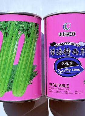 诺法特西芹种子 法国引进实心脆嫩少纤维高产耐抽薹基地专用西芹