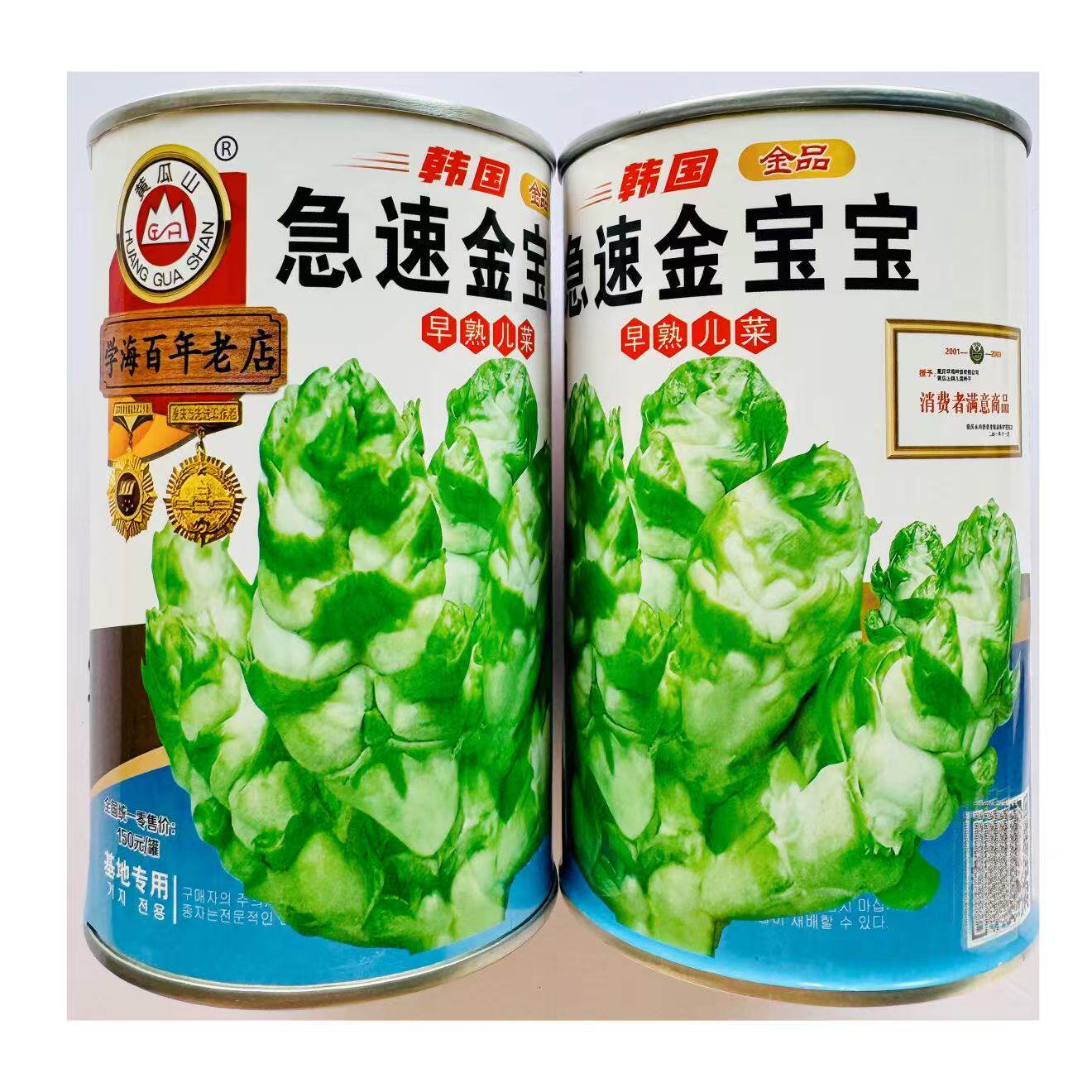 急速金宝宝早熟儿菜种子,中心园柱状芽儿大扁圆长形微甜基地专用