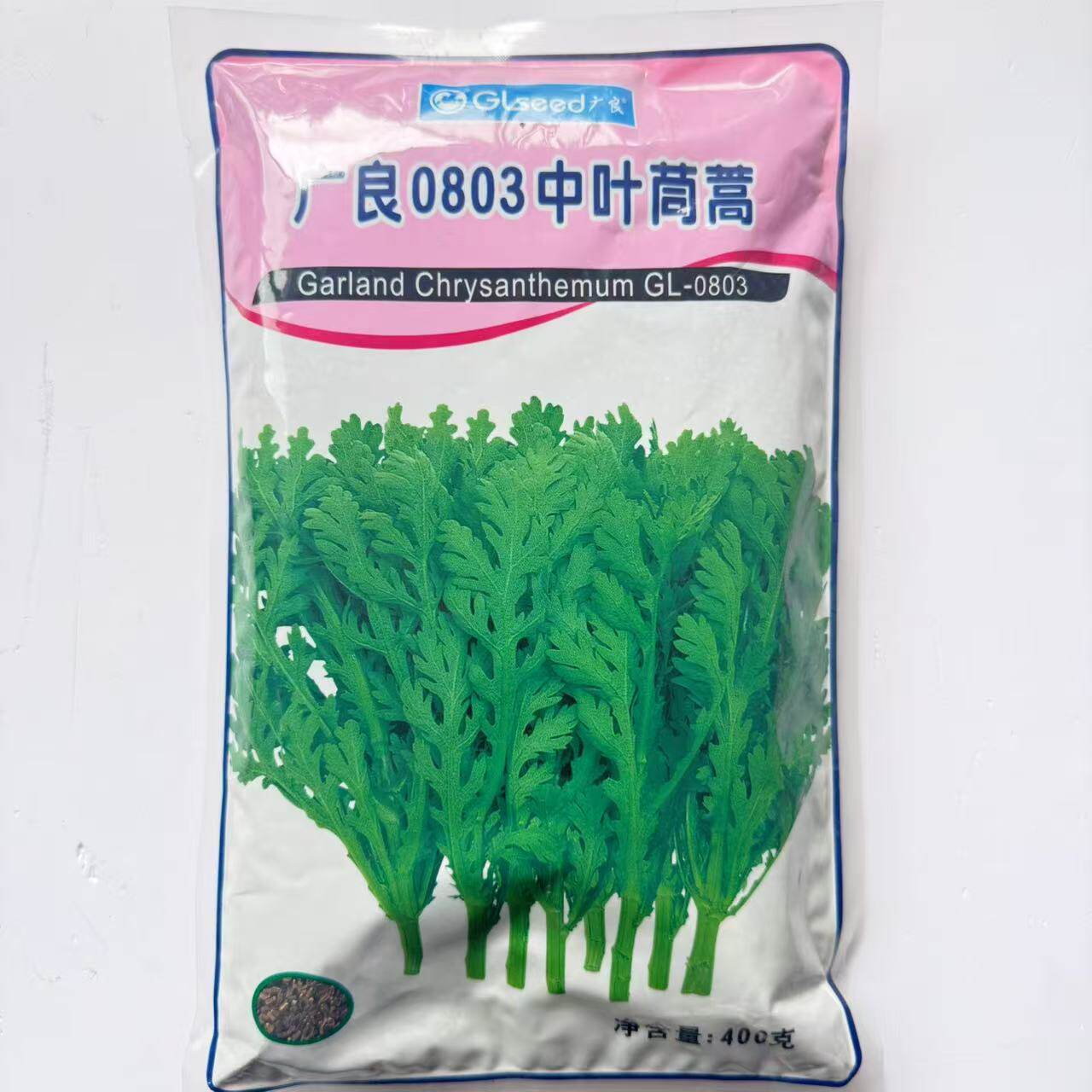 广良0803中叶茼蒿种子日本进口中叶茼蒿菜侧芽多春秋冬季茼蒿种孑