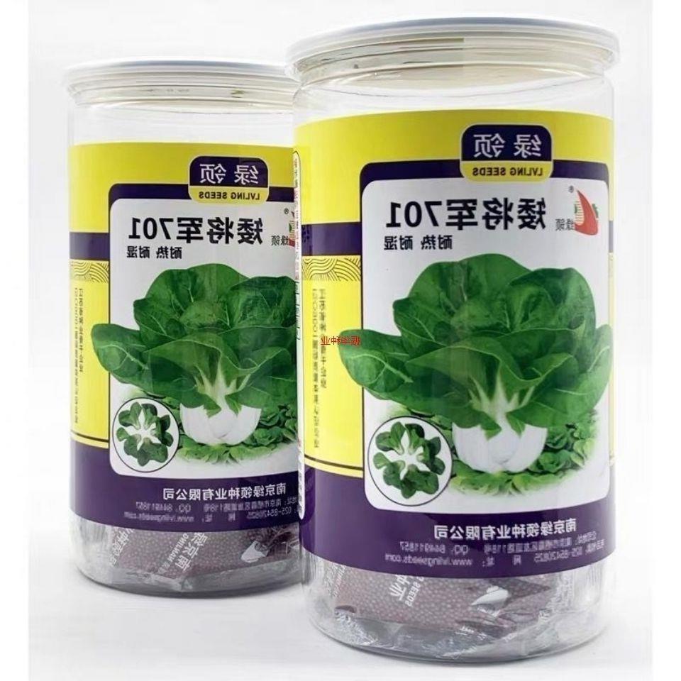 矮将军701脚白菜种籽高产