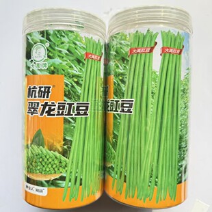大禹杭研翠龙豇豆种子荚油亮翠绿荚整齐顺直美观无鼓籽长豆角种籽