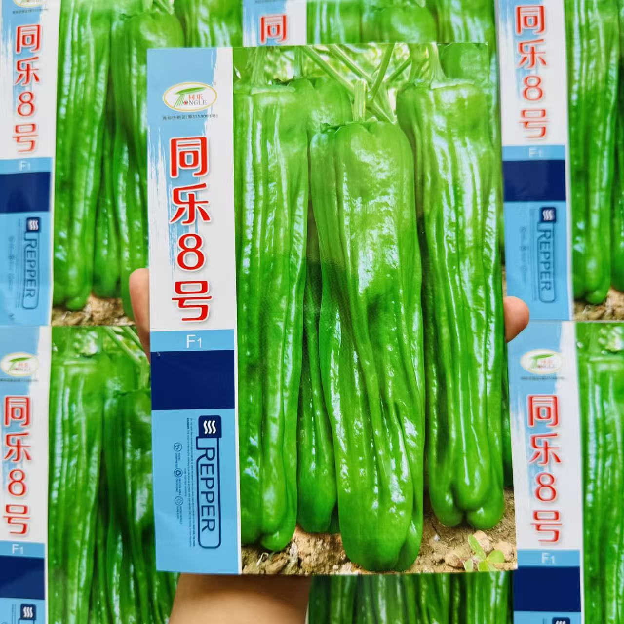 同乐8号大果薄皮椒种子早熟味微辣抗病产量高抗高温高湿春秋播种