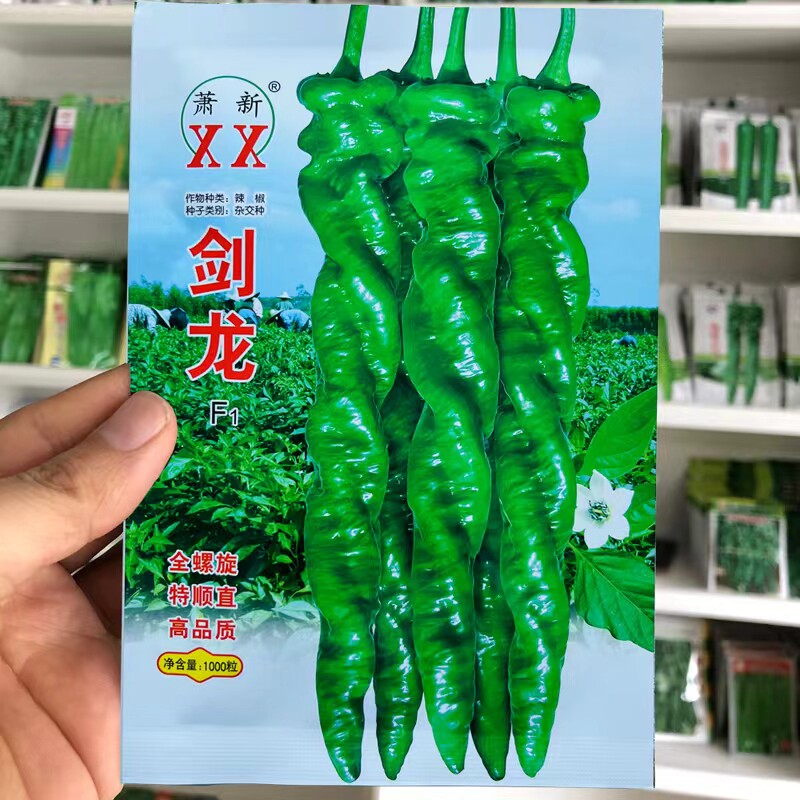 全螺麻面螺丝椒种子萧新特大薄皮