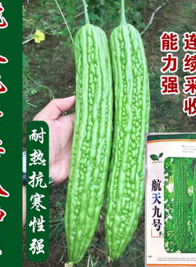 航天九号苦瓜种子高产抗病翠绿色杂交苦瓜种籽农家四季田园春季播