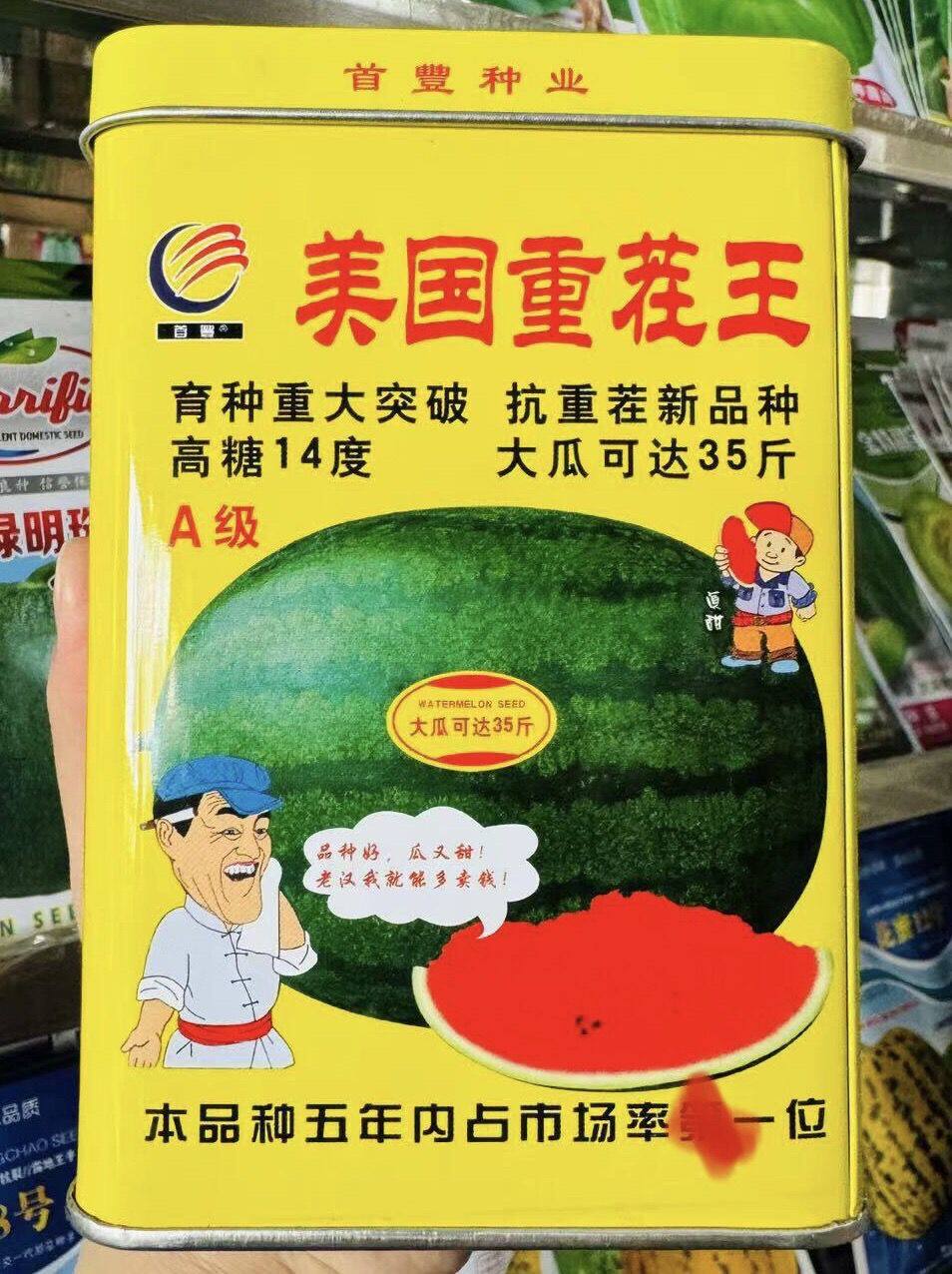 美国重茬王西瓜种子巨型超甜特大抗重茬西瓜种籽高产大田基地用种