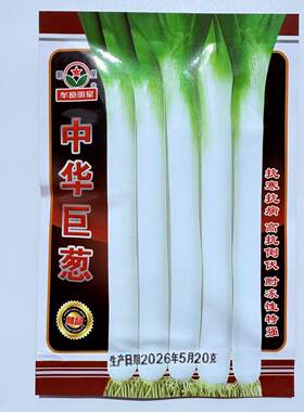中华巨葱种子三系高产大葱抗寒抗病春秋播农家蔬菜种籽航天一丈白