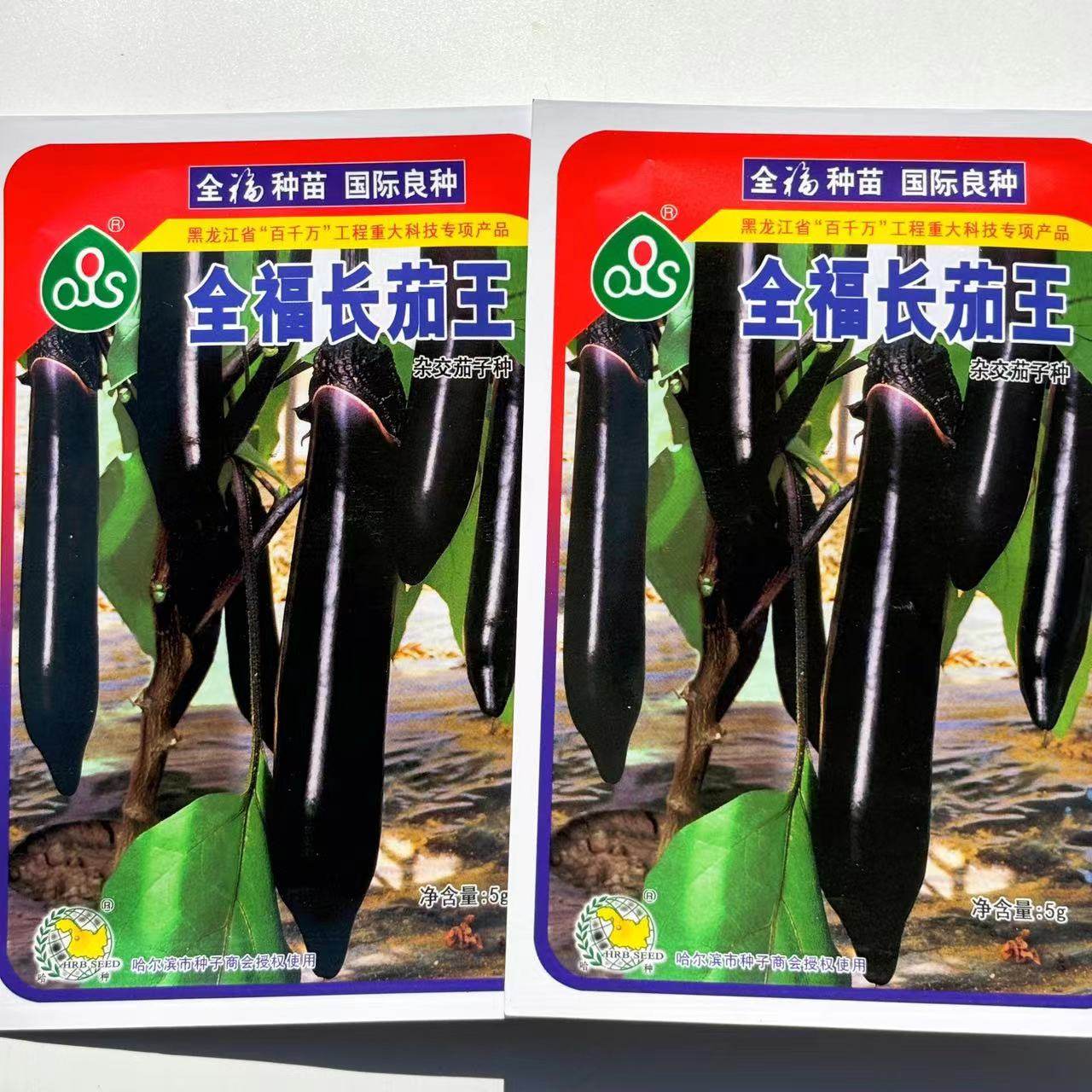 全福长茄王种子进口墨茄种子油黑长条型茄子种子长棒顺直型春秋种