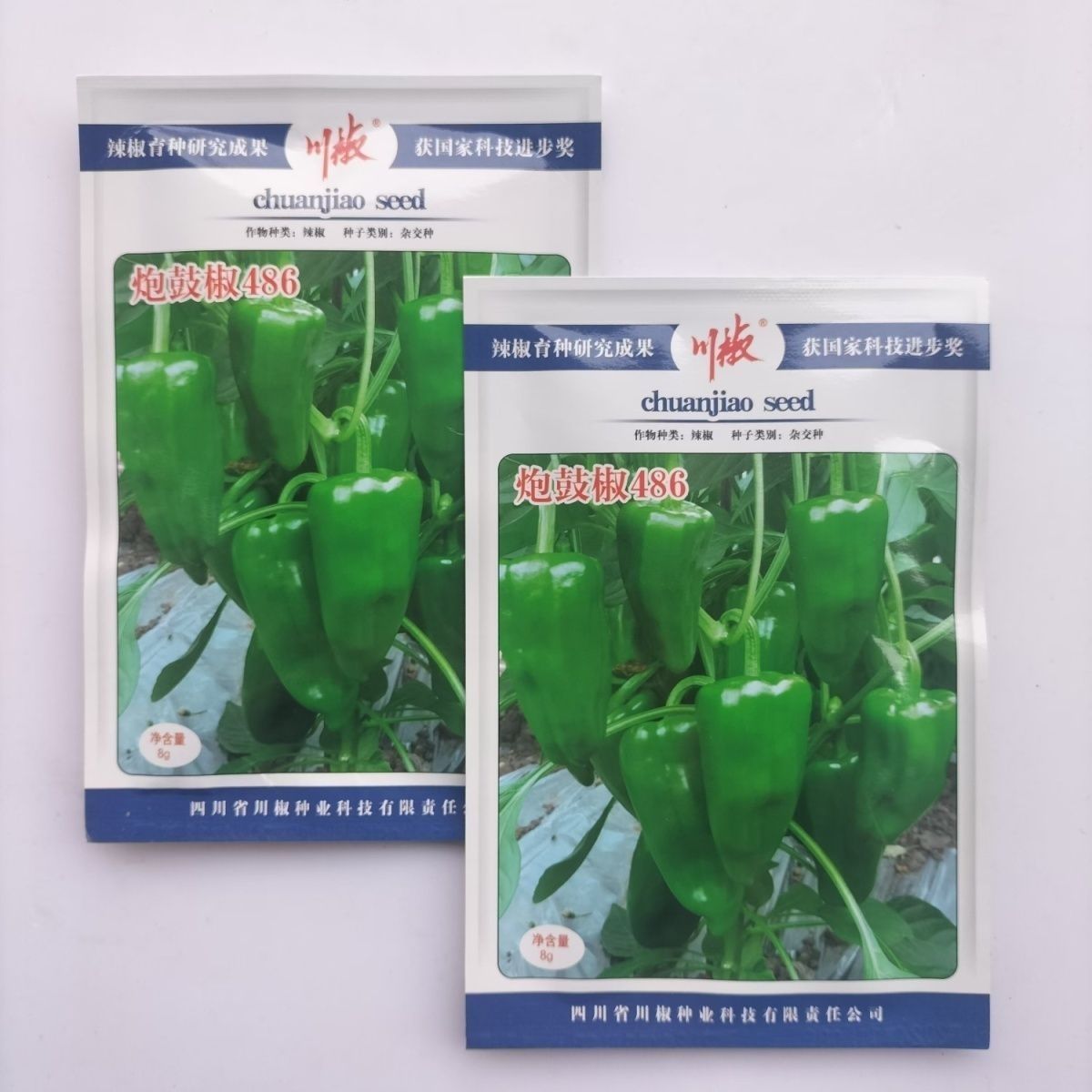 炮鼓椒486早熟泡椒辣椒种子皮薄肉厚微辣香脆口感好果长抗病强