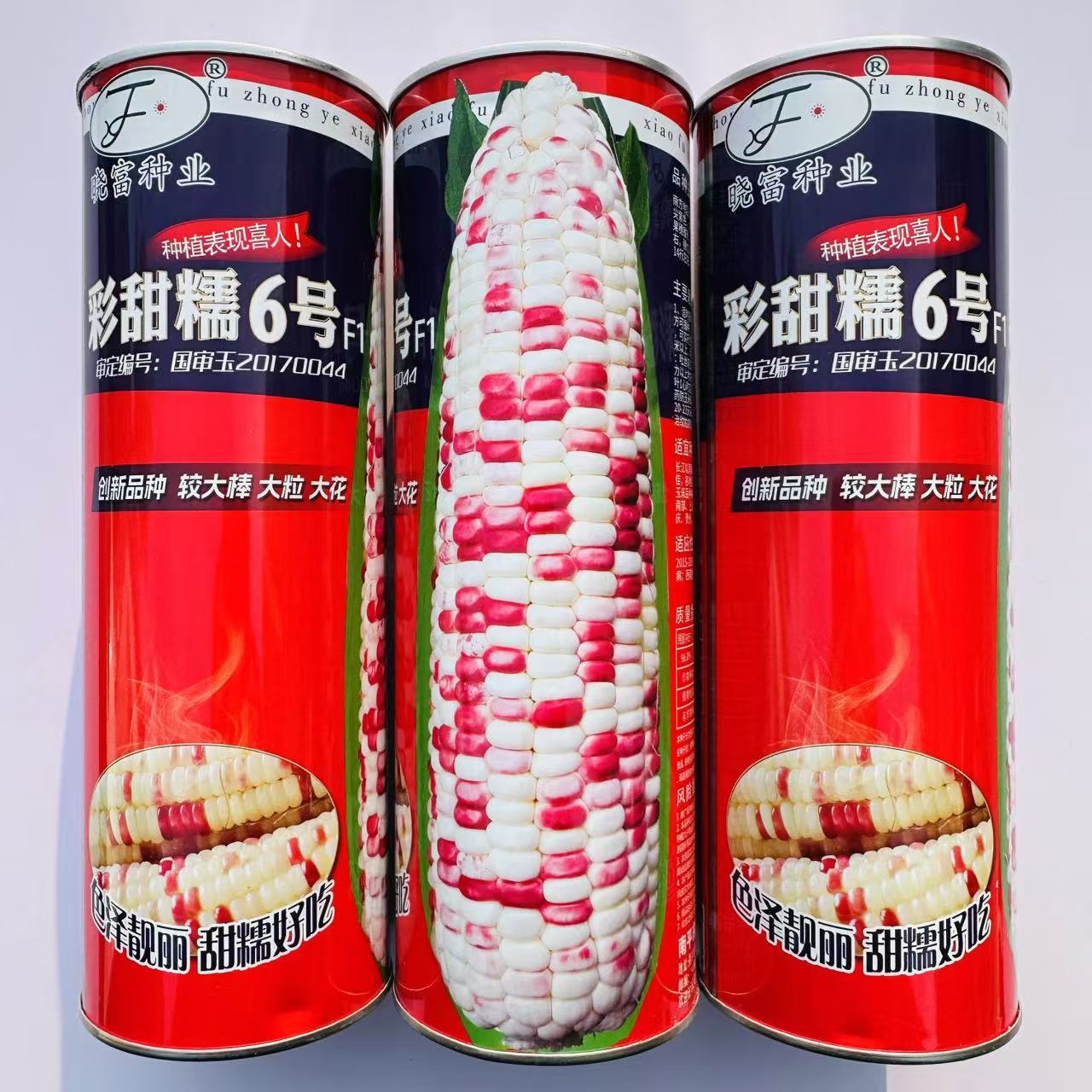 晓富彩甜糯6号甜糯玉米种子国审大棒大粒大花糯鲜食玉米种籽500克