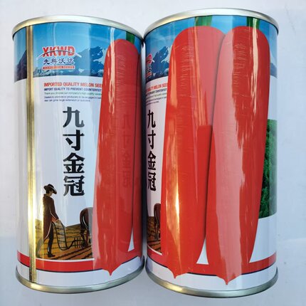 九寸金冠 三号八寸胡萝卜种橙红光滑高产耐热抗病商品性佳秋季播