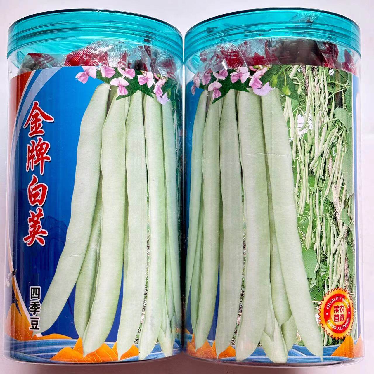 白荚红花四季豆种子高产无筋豆角种子架豆芸豆种子农家播蔬菜种子