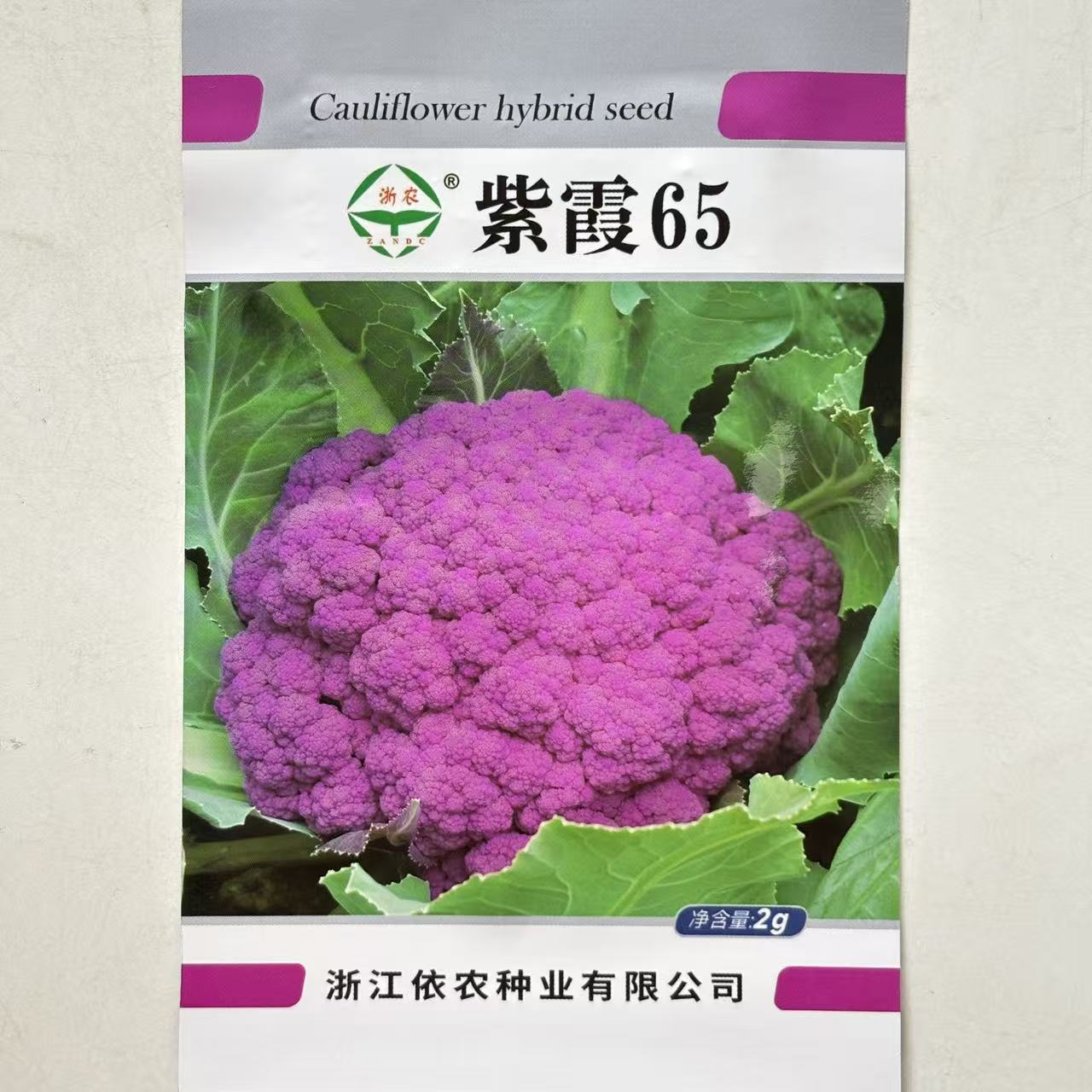 浙农紫霞65花椰菜种子花球半松紫红色蕾粒细密花梗淡绿脆嫩秋季播