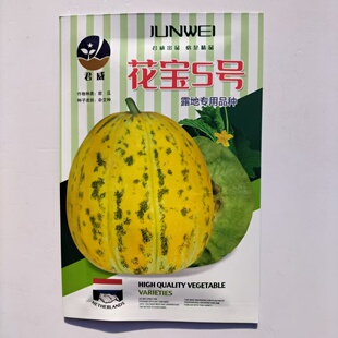花宝5号甜瓜种子中熟黄花皮豹点花点八里香种籽甜脆绿肉香瓜种籽