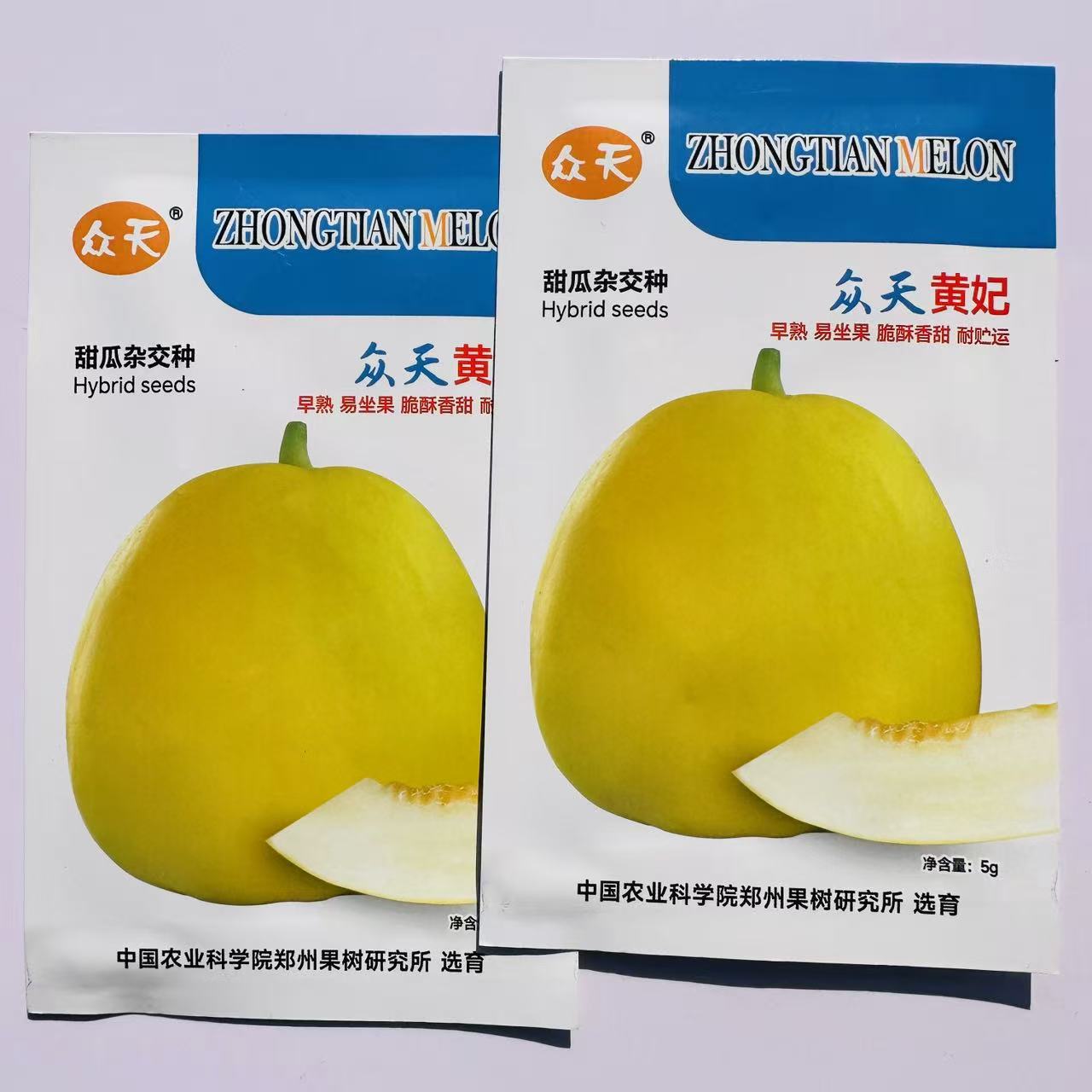 众天黄妃杂交一代甜瓜种子早熟薄皮脆甜好吃黄皮甜瓜种子高糖抗病