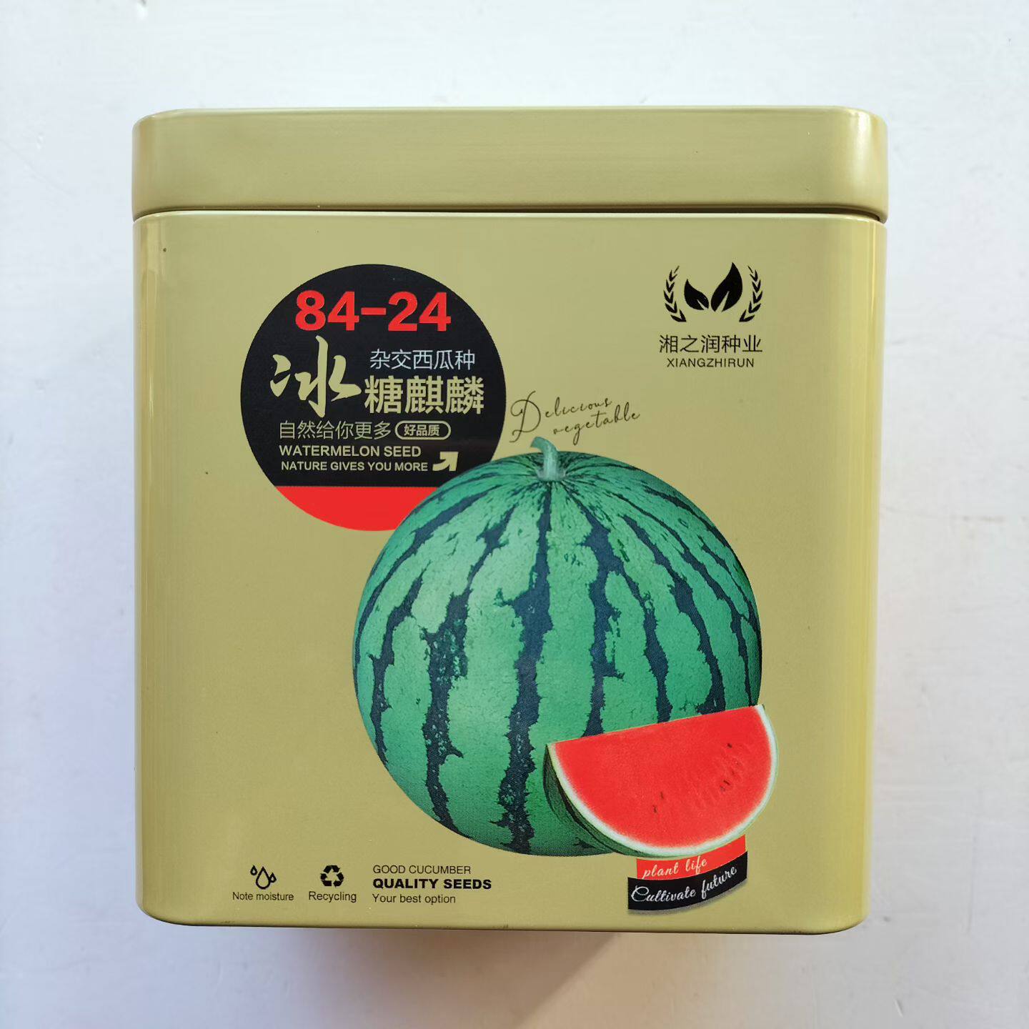 早熟8424无籽麒麟种籽正宗西瓜冰糖麒麟特大高产巨型西瓜种子正品