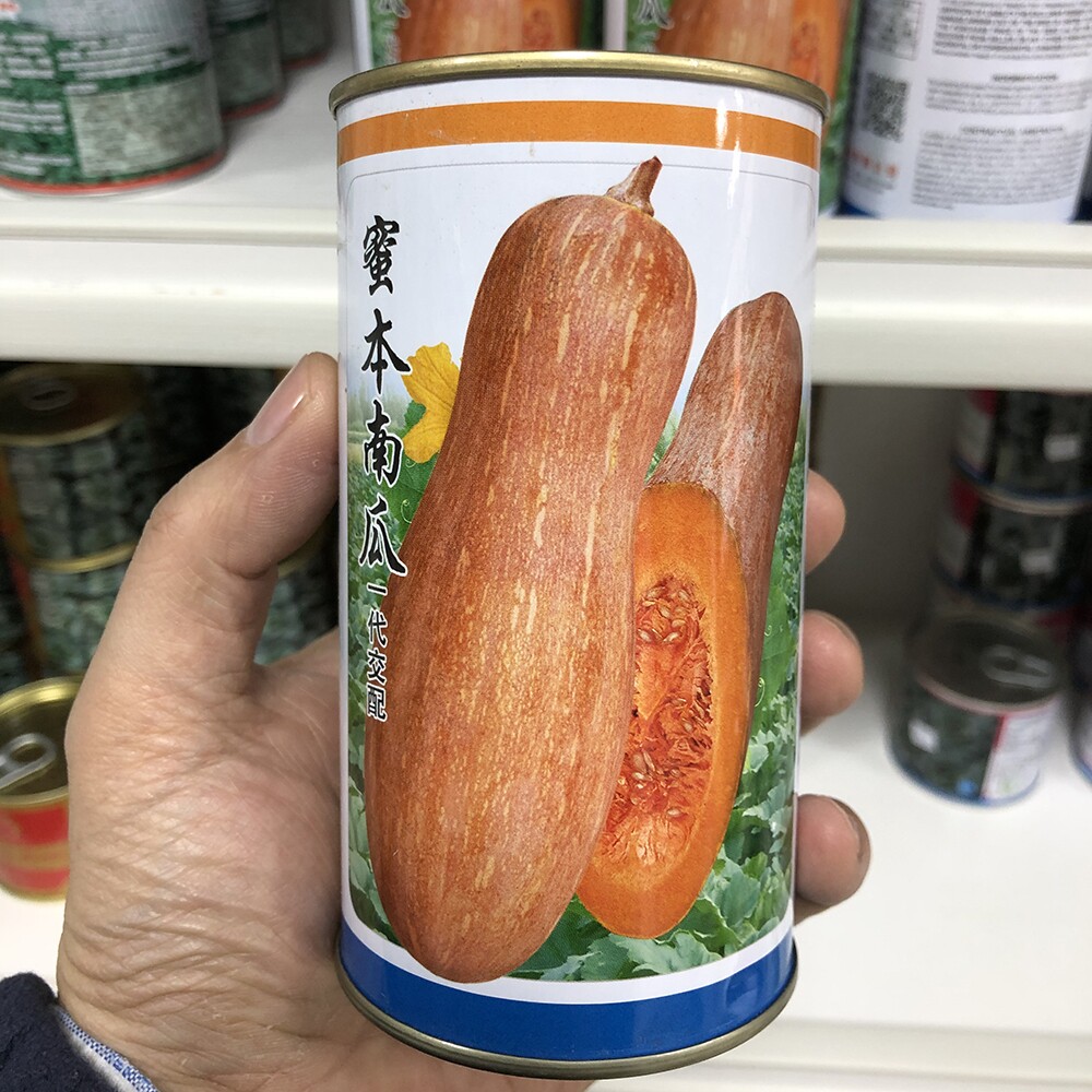 蜜本南瓜种子粉糯香甜肉细春夏秋四季蔬菜种籽大果早栗长密本种孑