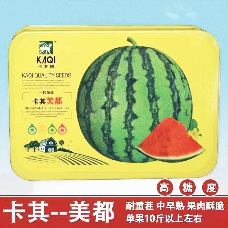 美都8482麒麟西瓜种籽大全懒汉甜王无籽高产阳台小南方蔬菜种子孑
