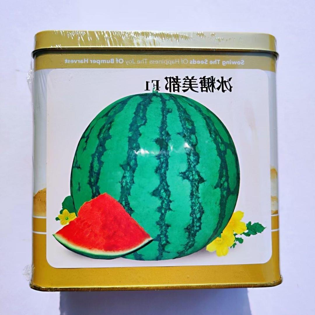 冰糖美都西瓜种子红瓤耐裂