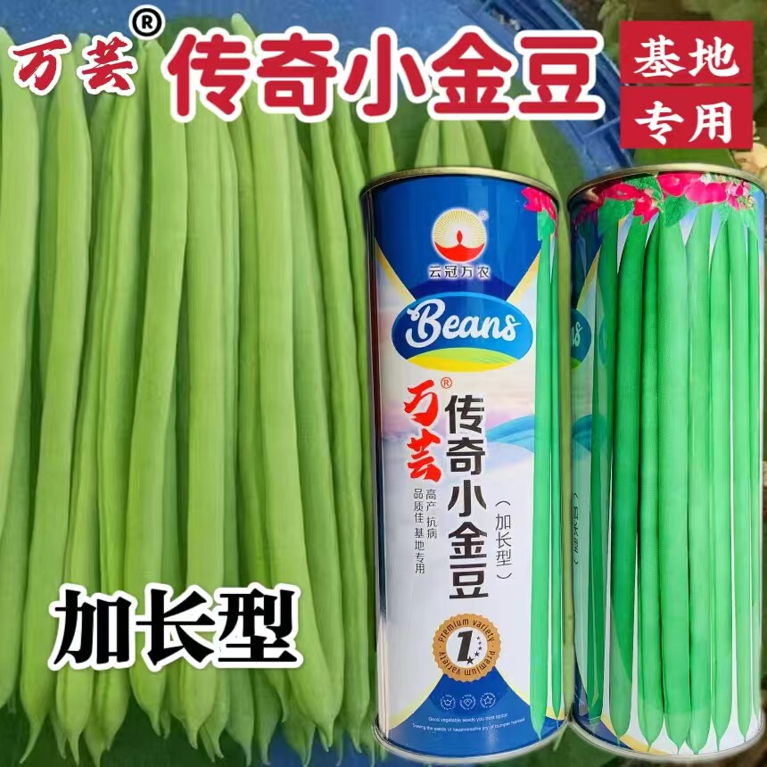 万芸传奇小金豆种子早熟蔓生荚色淡绿近圆形紫花无筋纤维少春秋播