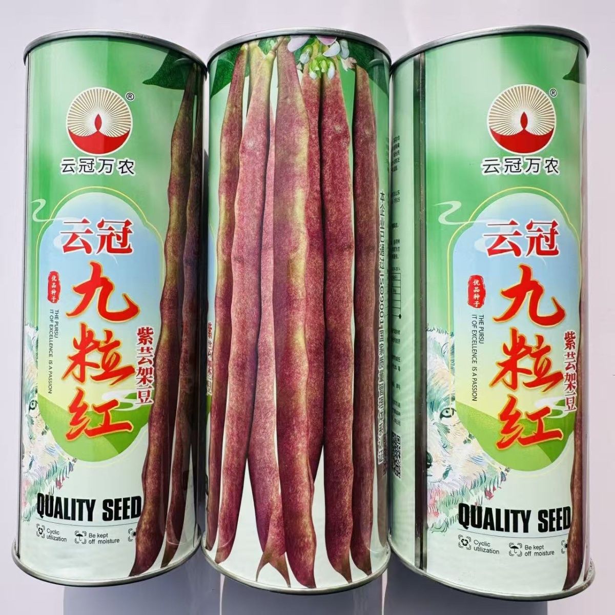 云冠九粒红紫芸架豆种子蔓生荚嫩无纤维肉厚抗病强产量高春秋种植