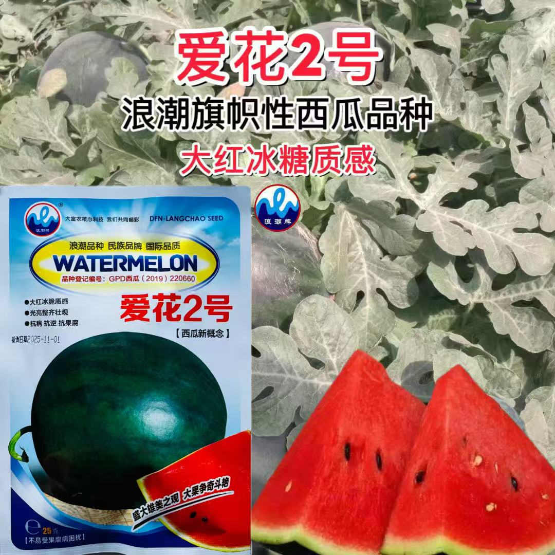 爱花2号西瓜种子爱花二号大西瓜种籽巨型超大西瓜种子大面积种植