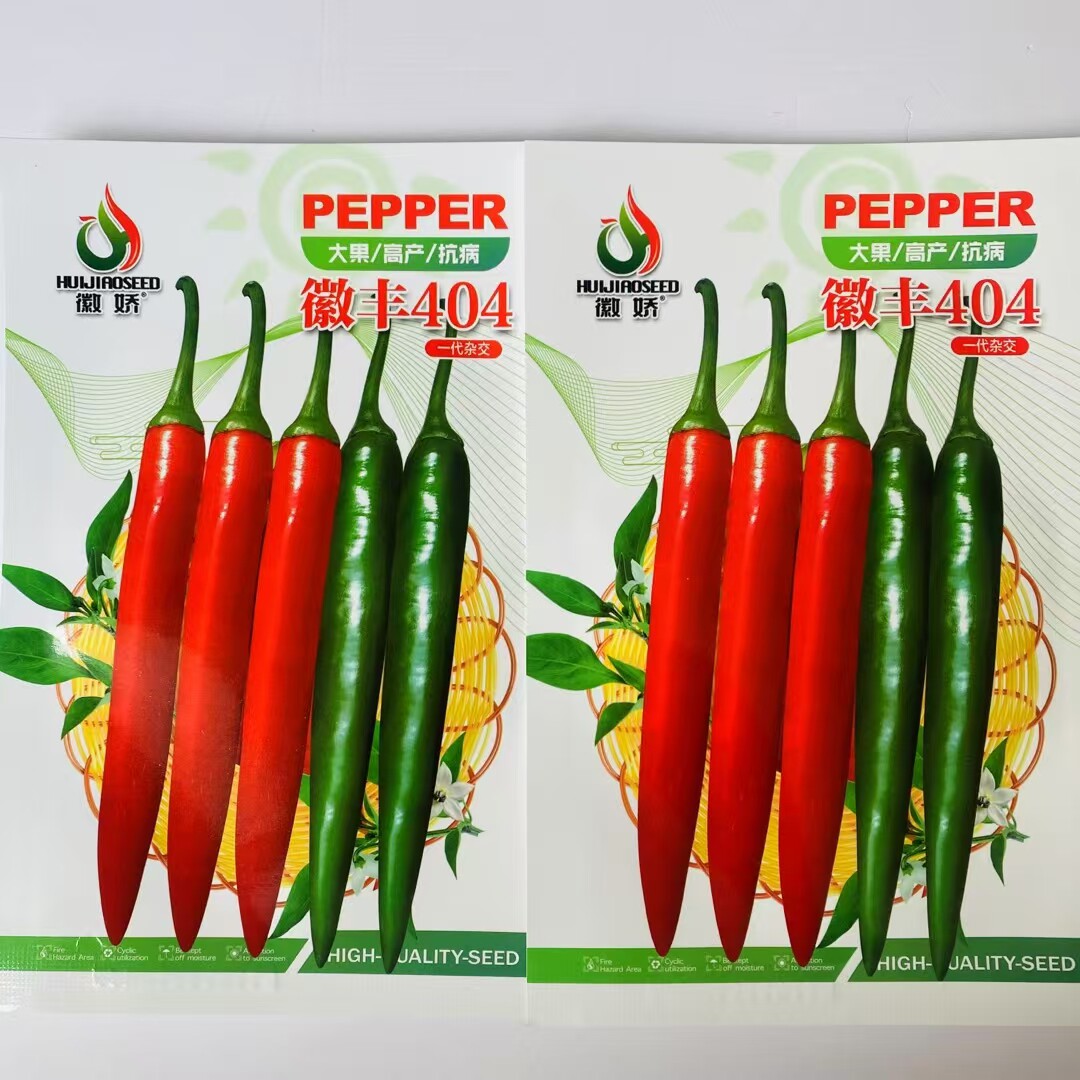 徽丰404大果美人椒种子中熟杂交高产海花红辣椒种籽较大型尖椒孑