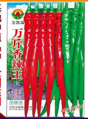 万斤香辣王特长线椒种子特辣线椒种薄皮辣椒种子高产特香辣线椒籽