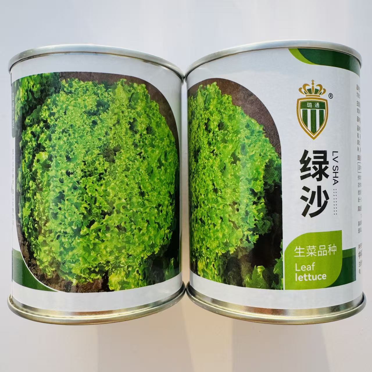 绿沙碎叶生菜种子卷曲蓬松脆嫩速生秋冬沙拉火锅大田盆栽蔬菜种籽