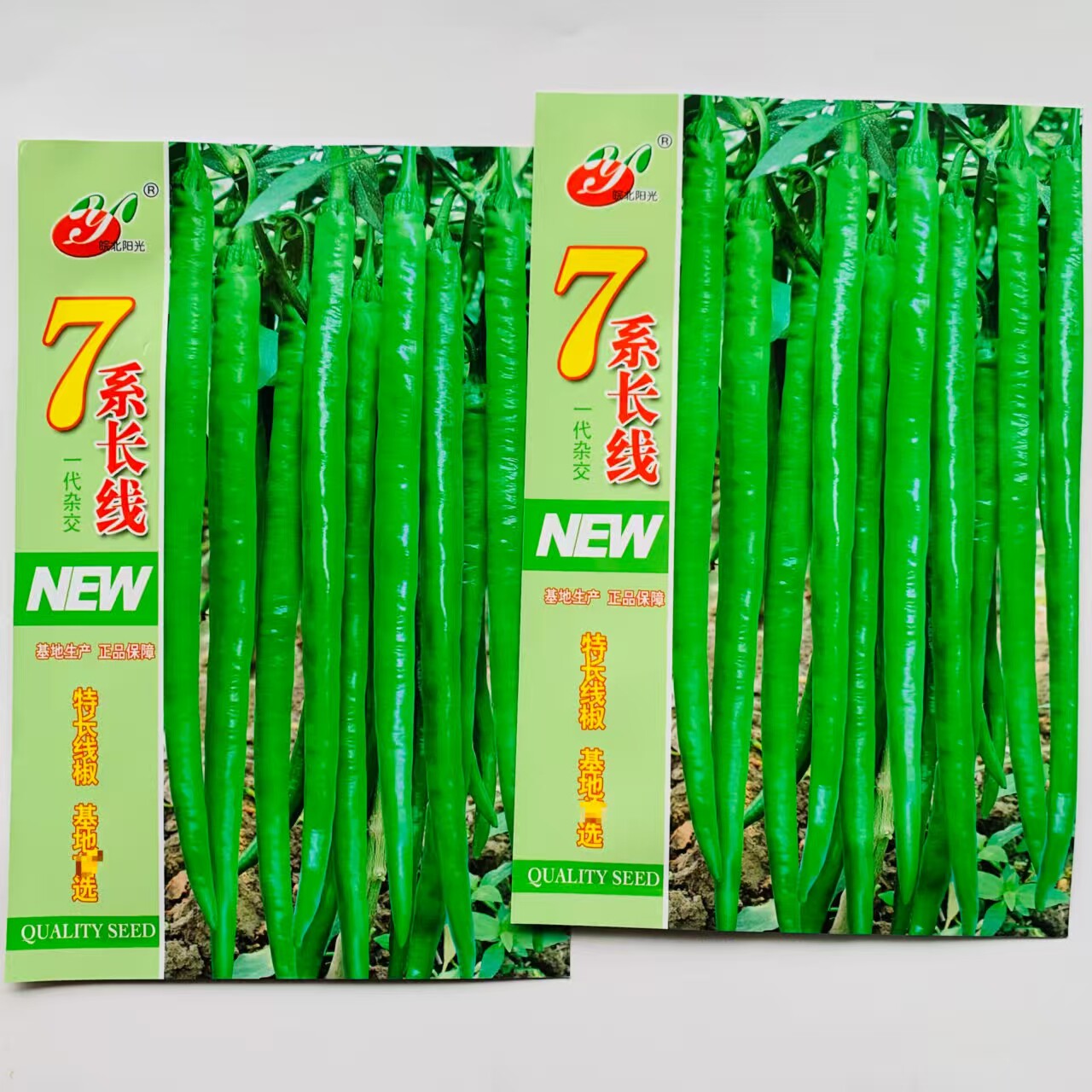7系长线辣椒种子加长加粗型线椒早熟品种皮薄肉厚高产抗病较耐热