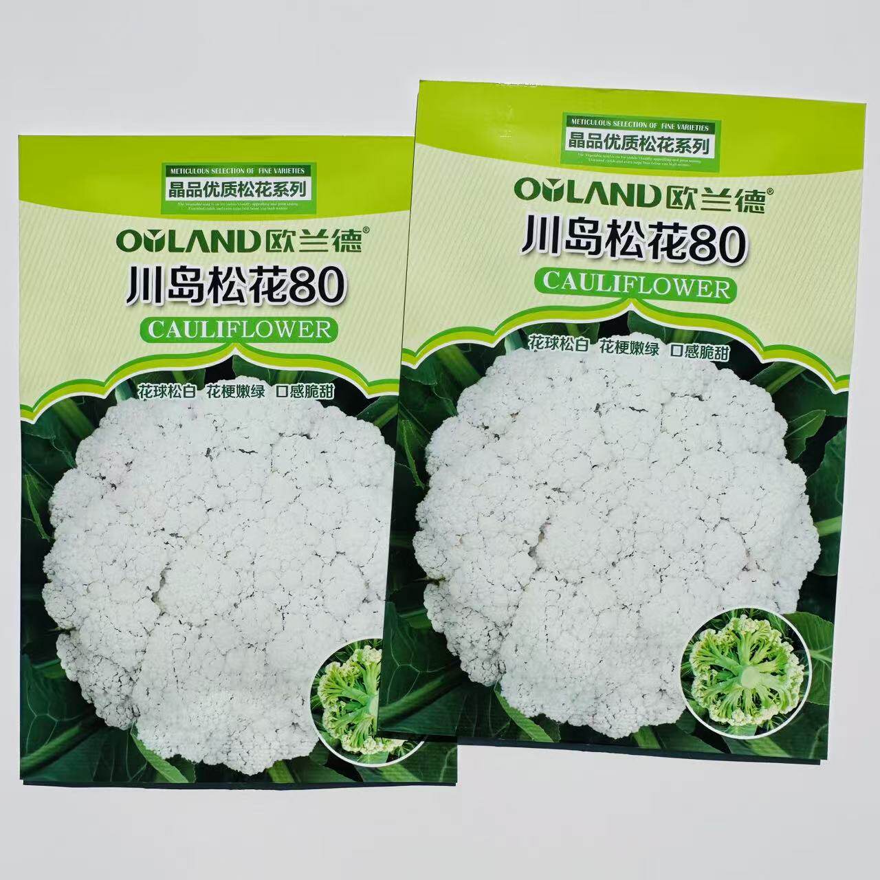 川岛松花80松花菜种子欧兰德青梗小米粒散花花菜菜花蔬菜种子
