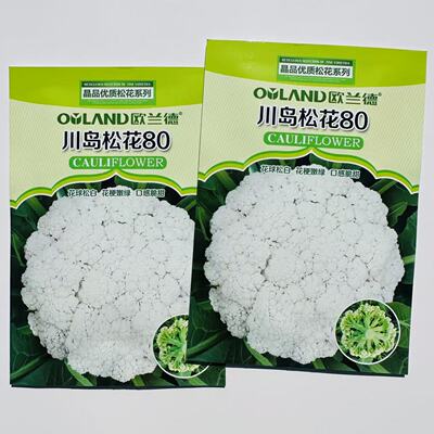 川岛松花80松花菜种子欧兰德青梗小米粒散花花菜菜花蔬菜种子