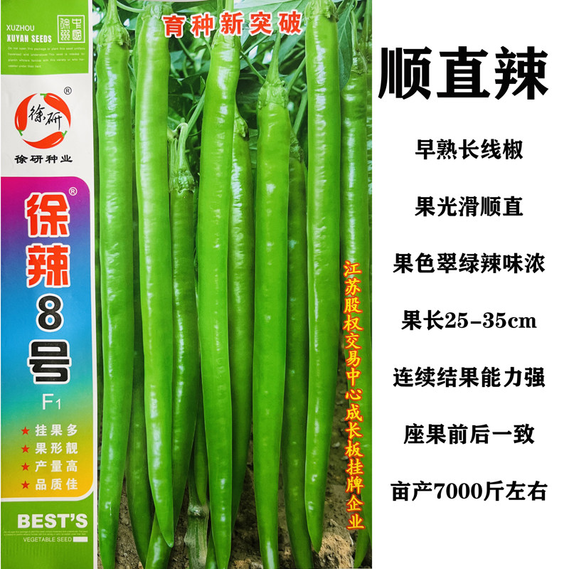 徐研线椒种子徐辣8号早熟顺直高