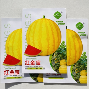 科望红金宝西瓜种子早熟圆球果皮金黄色果肉大红肉质细脆多汁皮薄