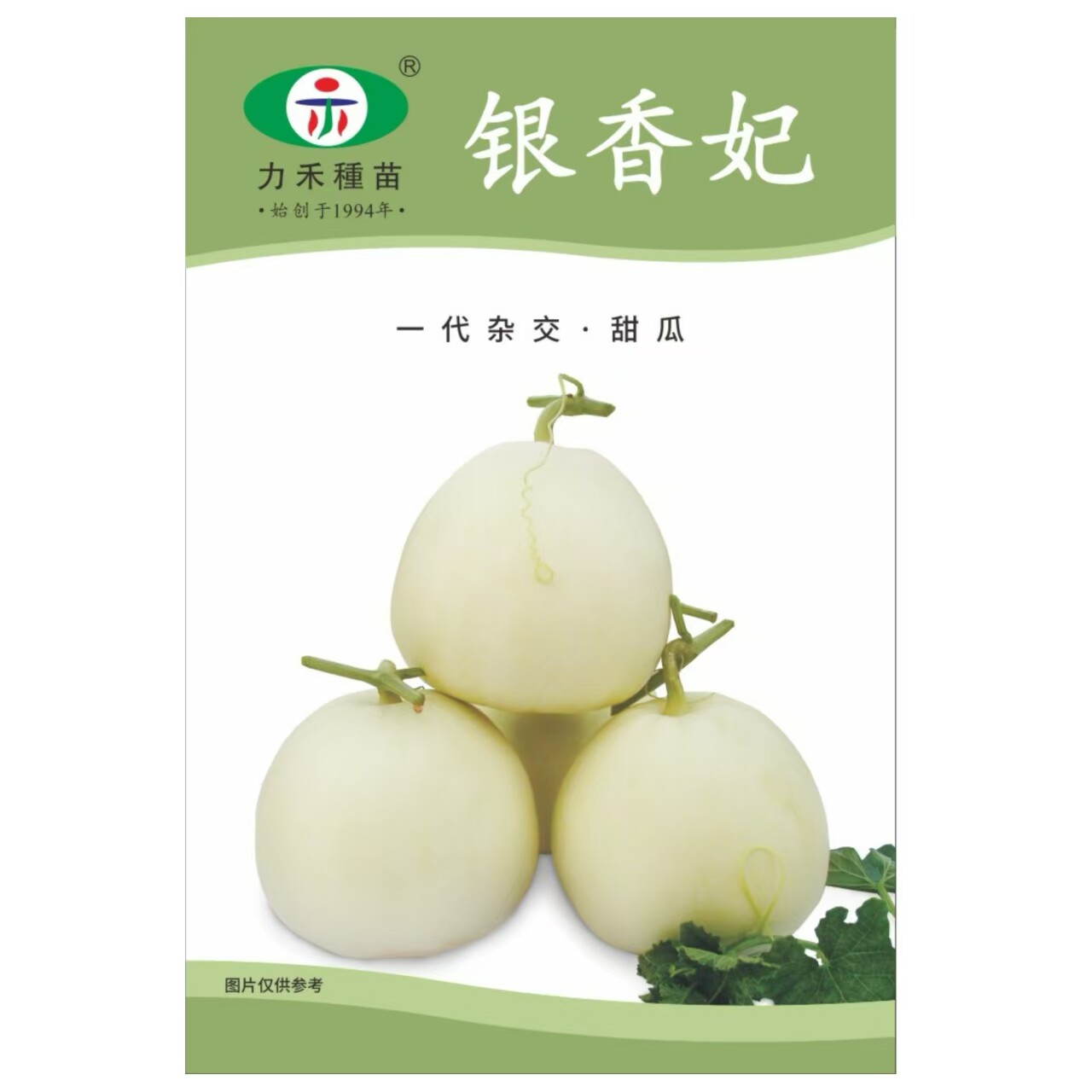 台湾力禾银香妃甜瓜种子甜瓜改良品种子大果薄皮香瓜种子香甜味浓
