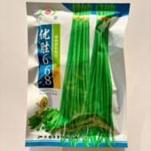 豆角种种子中早熟厚肉型油豆角种籽肉厚型长豇豆种子优胜668高产