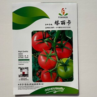 塔丽卡粉红番茄种子无限生长型硬果高产抗病西红柿种籽蔬菜种籽孑