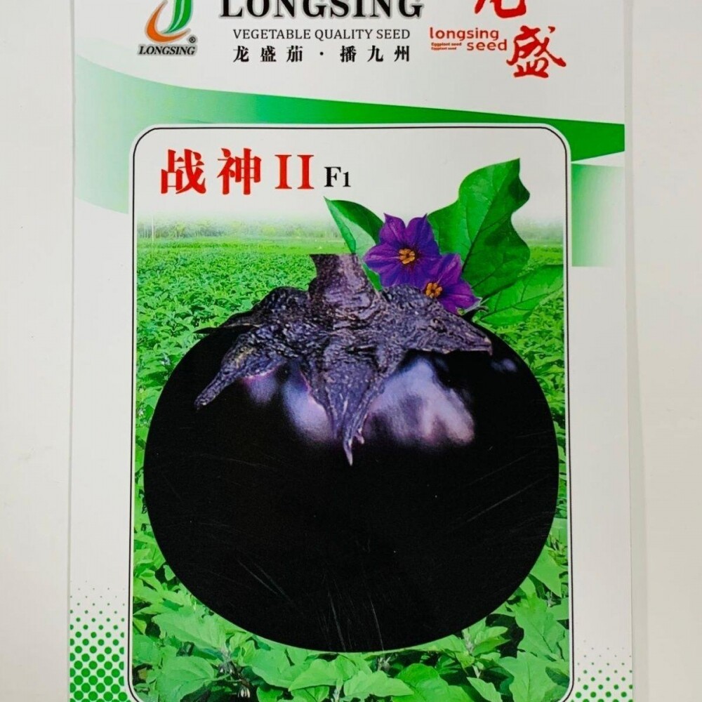 黑龙圆茄子种子快圆茄种子种籽 基地专用 快 四季播茄子种籽特大