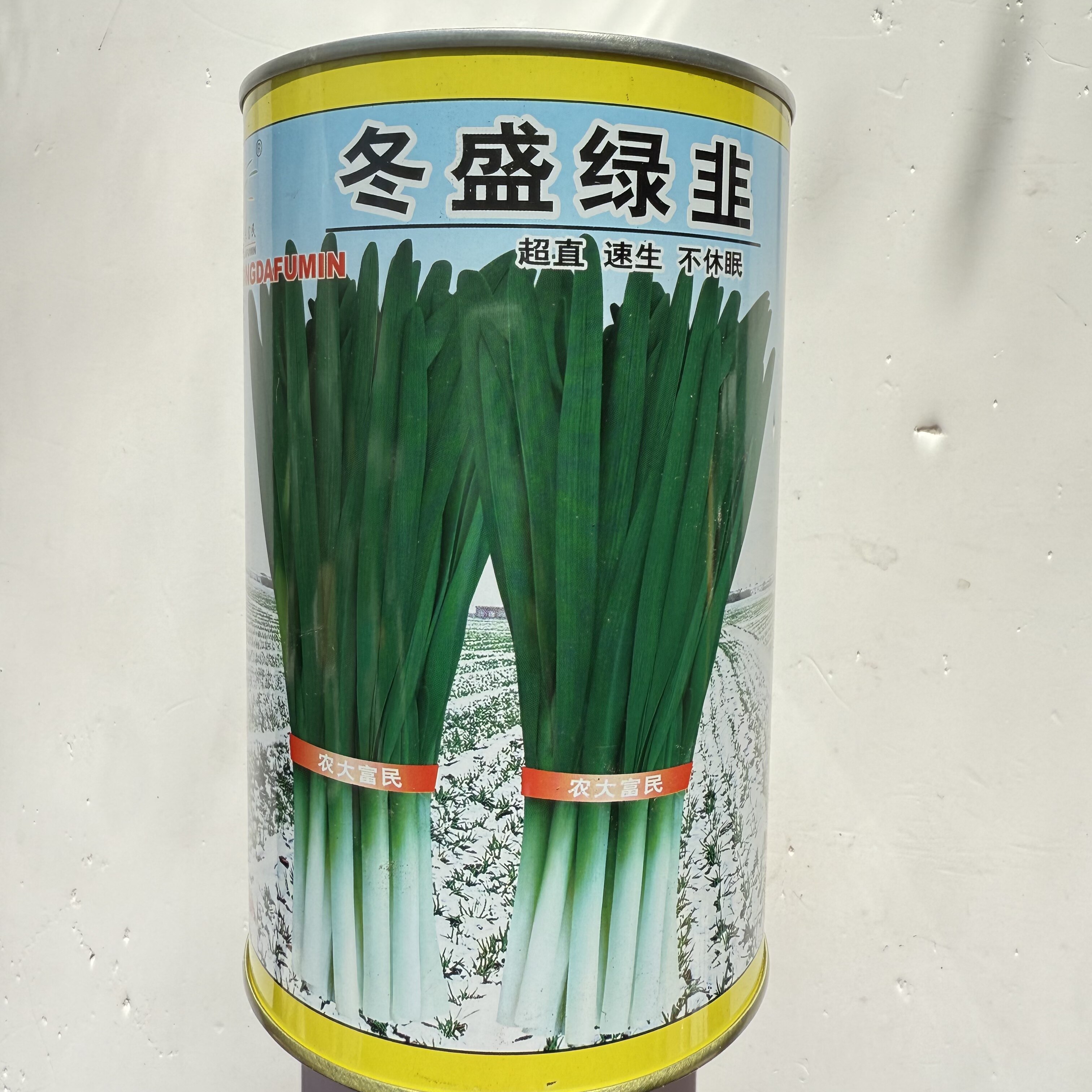 农大富民冬盛绿韭种子速生超直韭菜种籽特耐低温冬季不休眠春秋播