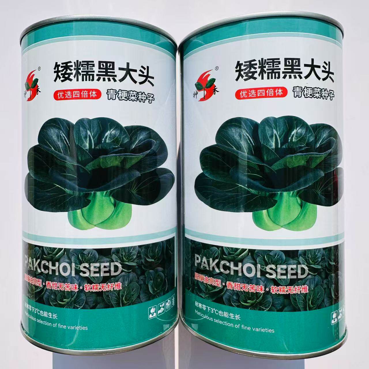 矮糯黑大头青梗菜种子大头束腰黑大头青菜种耐寒越冬秋季蔬菜种子