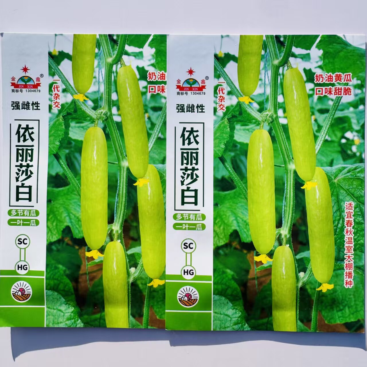 伊丽沙白水果白黄瓜种子强雌性黄白皮奶油黄瓜种子清香脆甜春秋播