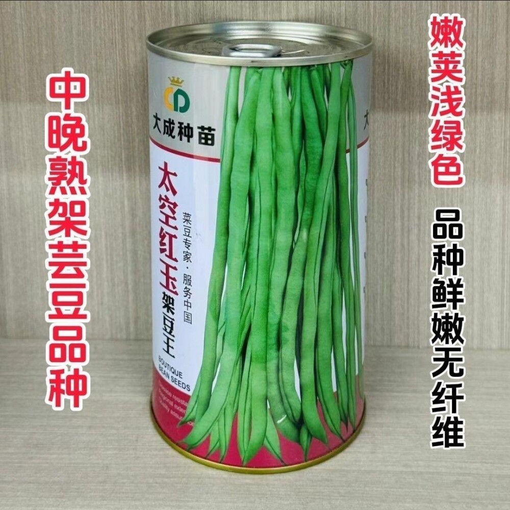 太空红玉架豆王种子中晚熟豆角芸豆架豆种子四季豆高产抗病无纤维