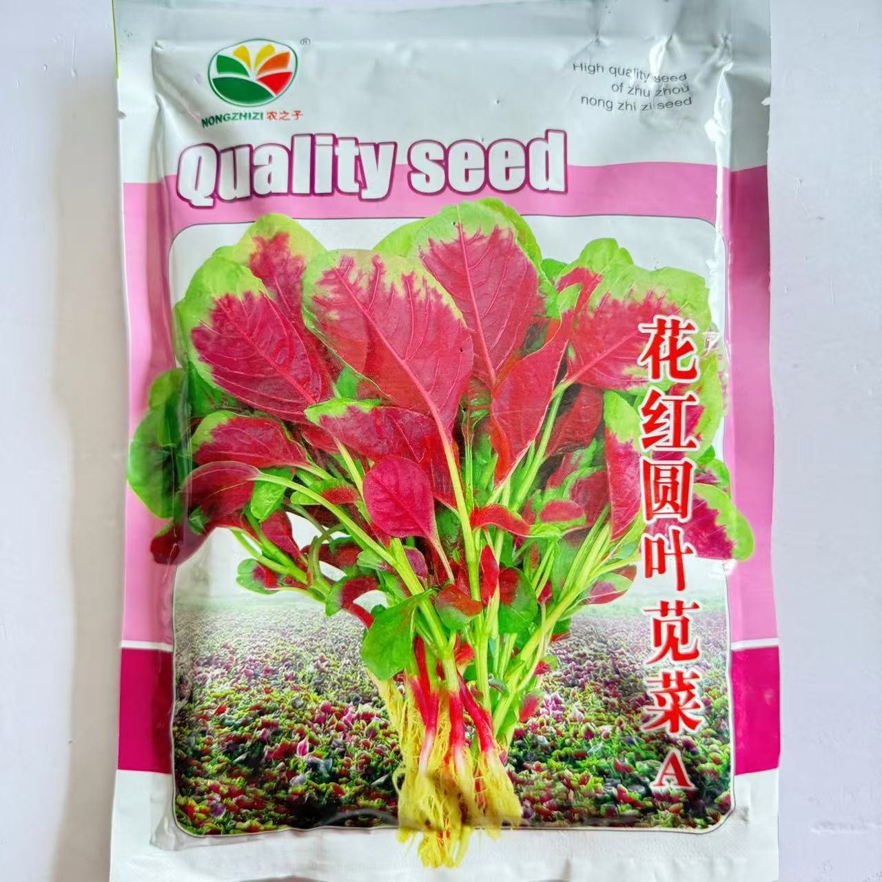 农之子鲜红糯米苋菜种子籽耐低温早熟圆叶红苋菜厚肉春秋农田高产
