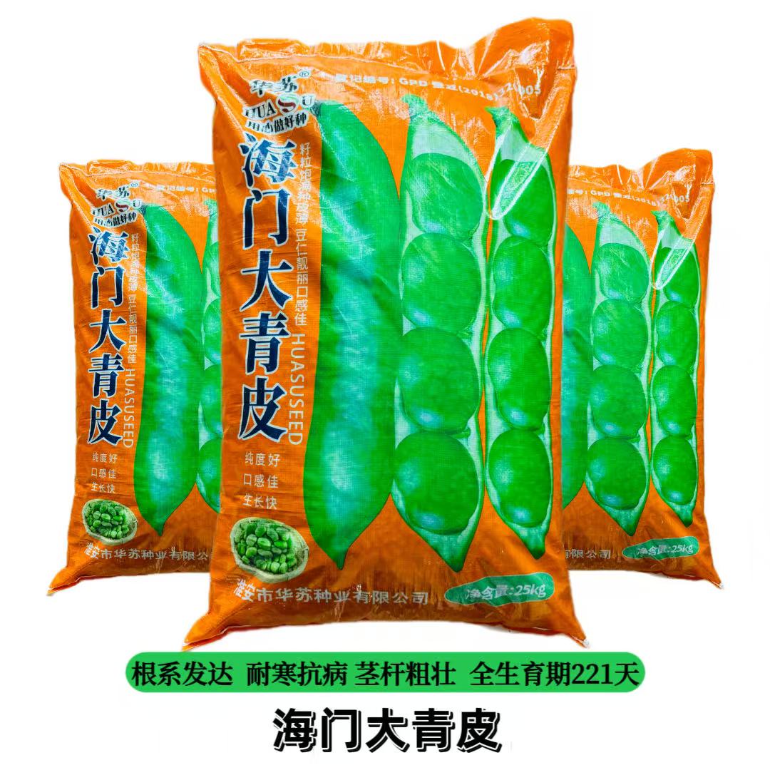 海门大青皮蚕豆种子特大高产大白皮蚕豆胡豆罗汉豆耐寒蔬菜种籽孑