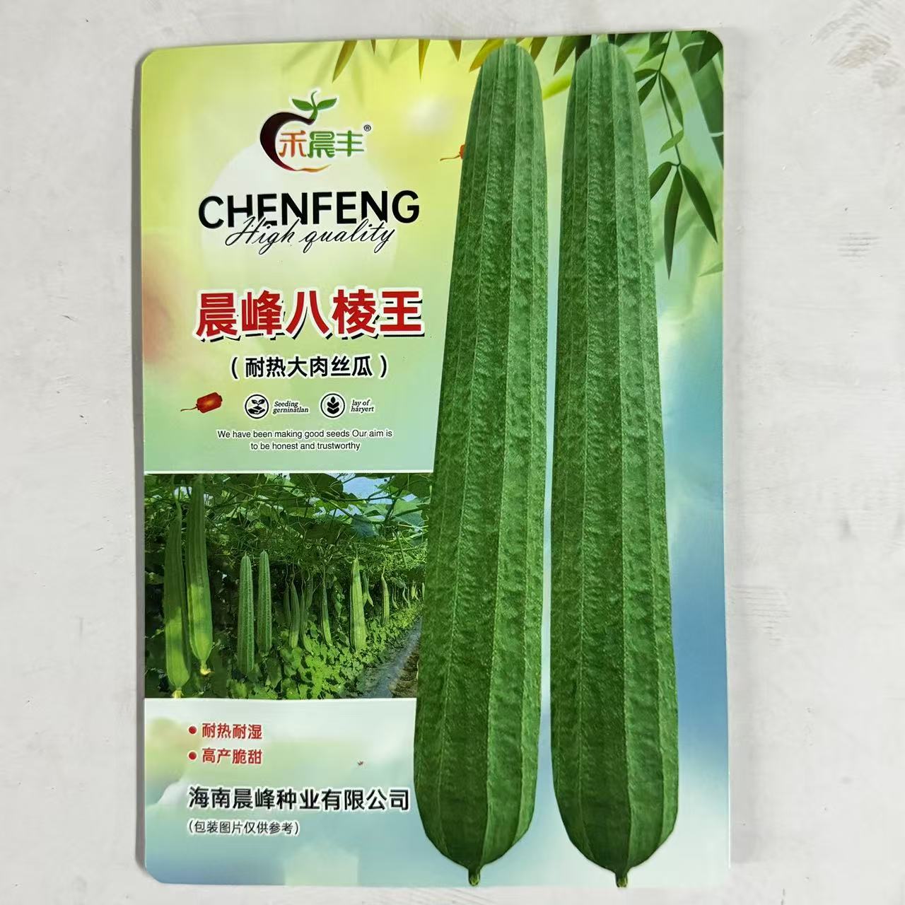 大肉棱型丝瓜种子 晨峰八棱王耐热耐湿/抗病能力强/产量高正品