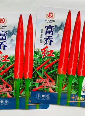 富乔红朝天椒种子大果中晚熟朝天椒种籽种子产量高硬度好尾期果大