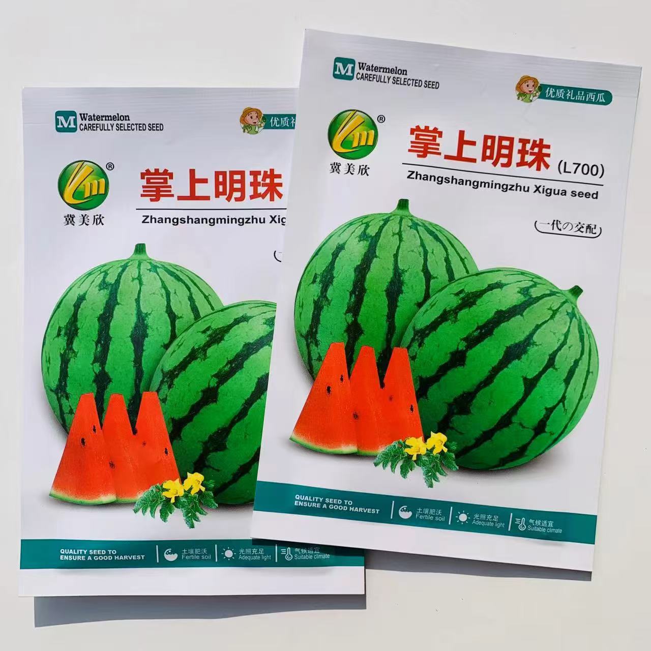 掌上明珠L700西瓜种子特甜礼品西瓜品种早熟小型西瓜种籽薄皮耐裂