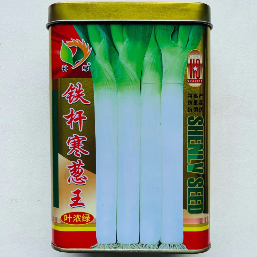 铁杆寒葱王大葱种子中华巨葱王大香葱耐热抗寒春季秋冬季铁杆葱种