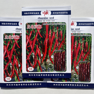 丘北贡椒种子早熟果面光滑顺直辣椒种籽高产抗病大田红尖椒味香辣