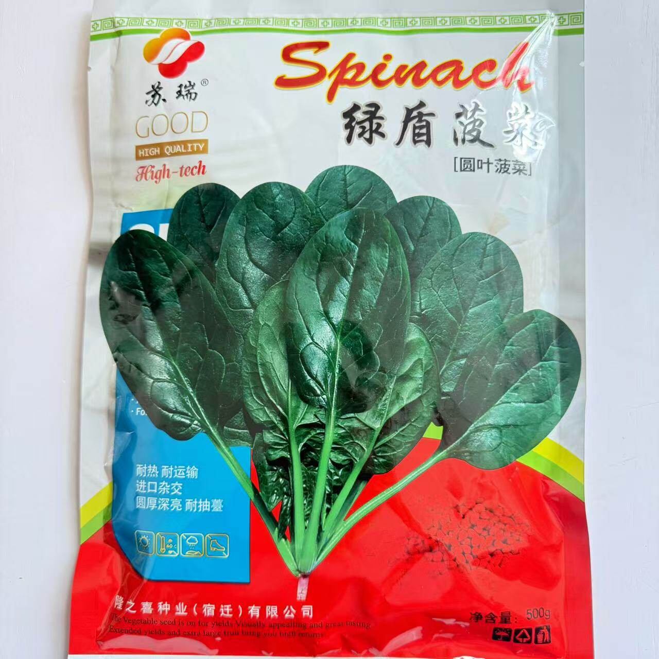 苏瑞绿盾500克装园叶菠菜种子抗病高产秋季越冬露天菠菜种子