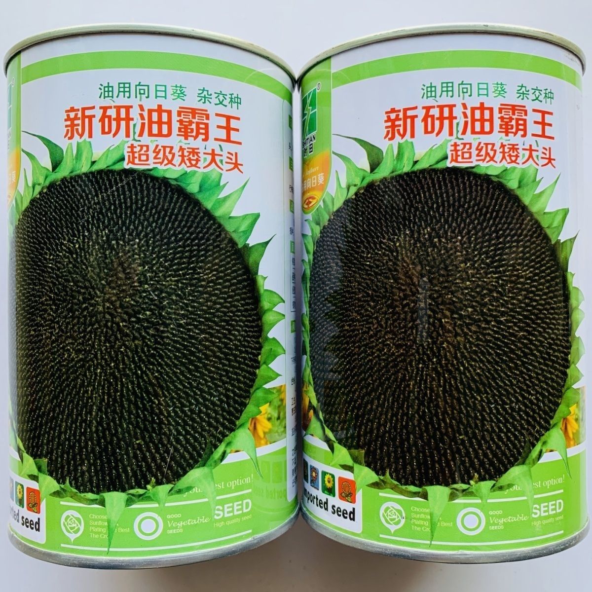神禾新研油霸王油葵种子抗热耐旱榨油向日葵葵花籽观赏食用大田种